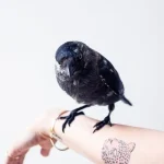 Bold Blackwork Sleeve Designs