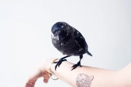 Bold Blackwork Sleeve Designs