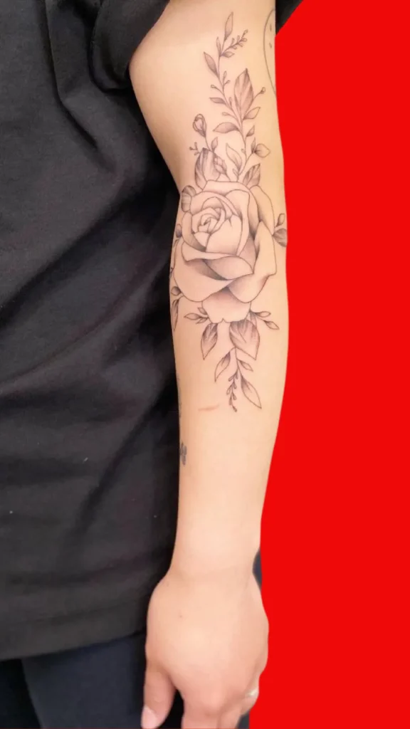 Fine Line Rose