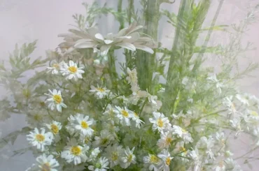 Mini Herb Garden