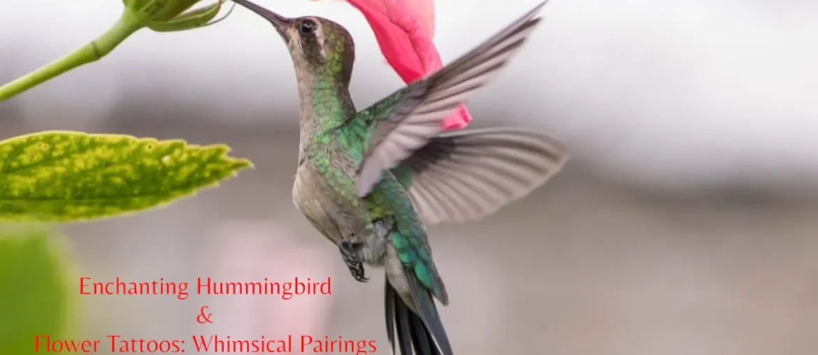 15 Ideas For “Enchanting Hummingbird & Flower Tattoos: Whimsical Pairings”